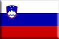 NETEHNICNI POVZETEK 
